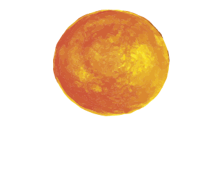 HANNES BIER